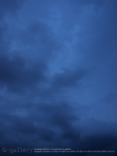 P7120484_410_54.jpg