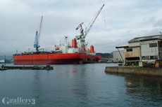 P7190343-117m.jpg