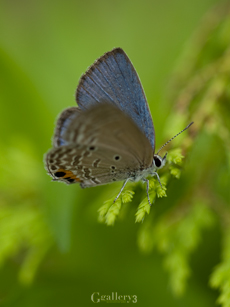 P7260822-59m.jpg