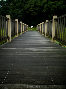 P7264537-30017M.jpg