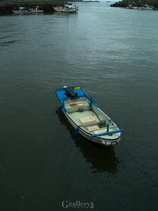 P7264566-30017m.jpg