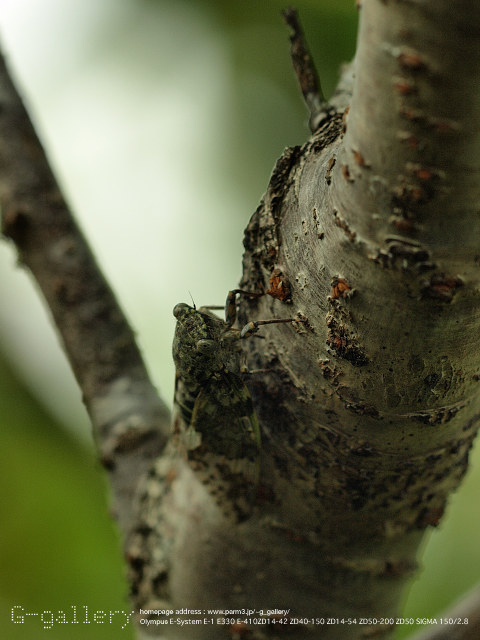 P7290145.jpg