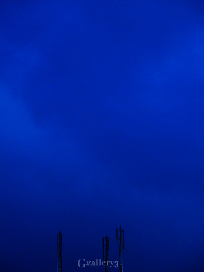 P8124625-3001456.jpg