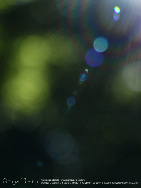 P8128524_330.jpg