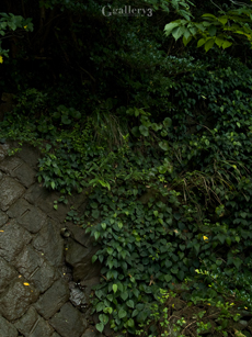 P8134693-30017m.jpg