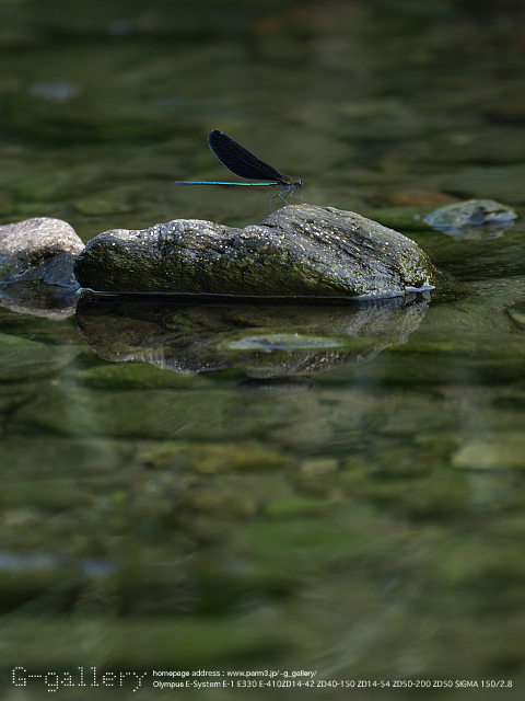 P8188740_410_150.jpg