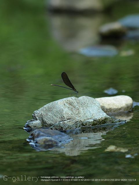 P8188758_410_150.jpg