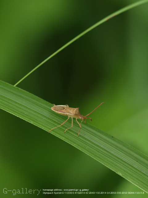 P8198884_410_150.jpg