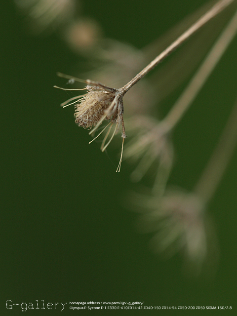 P8198929_410_150.jpg