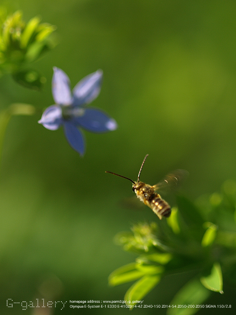 P8209021_410_150.jpg