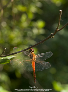 P8240561-3m.jpg