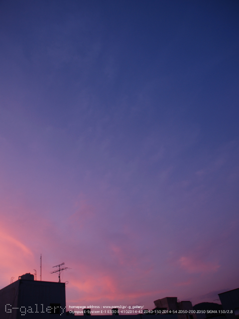 P8248923_E-1_14.jpg
