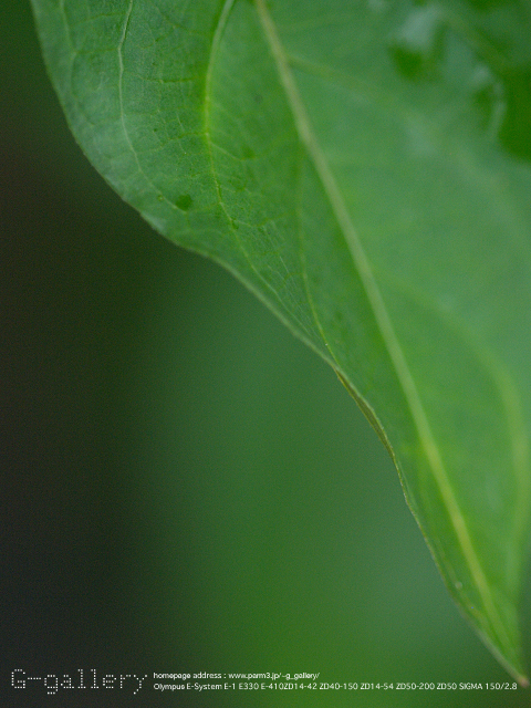 P9018954_E-1_150.jpg