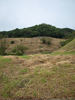 P9019101_E410-14-42.jpg