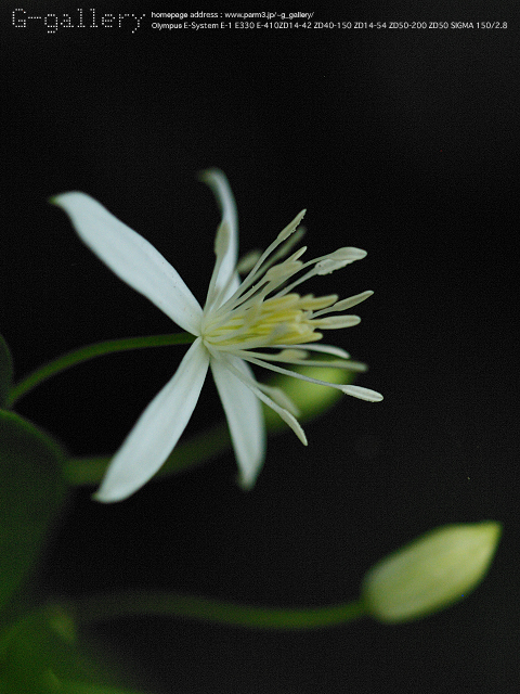 P9019110_E-1_150.jpg