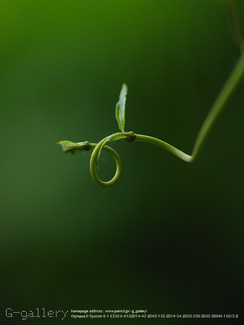 P9019128_E-1_150.jpg
