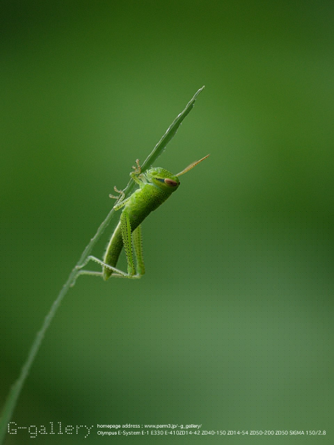 P9019157_E-1_150.jpg
