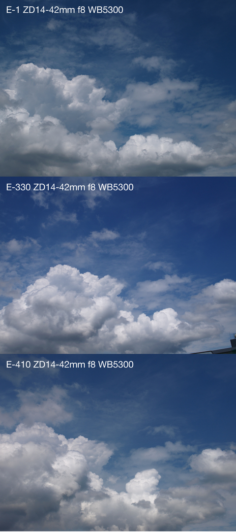 P9049180_E-1_330_410_2.jpg