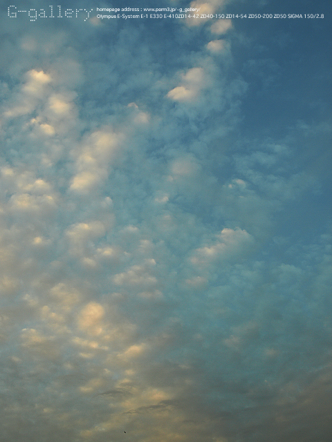 P9079243_E410_14-42.jpg
