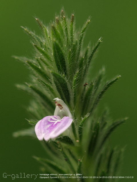 P9099338_410_150.jpg