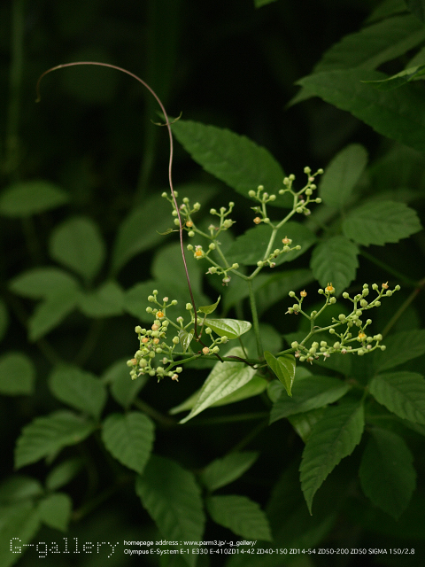 P9099353_410_150.jpg
