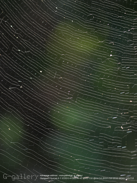 P9099374_410_150.jpg