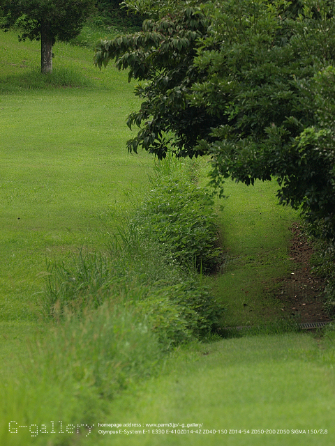 P9099461_410_150.jpg