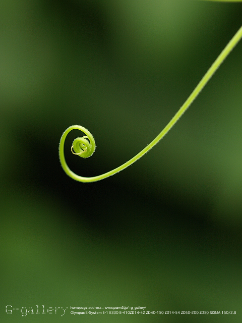 P9099482_410_150.jpg