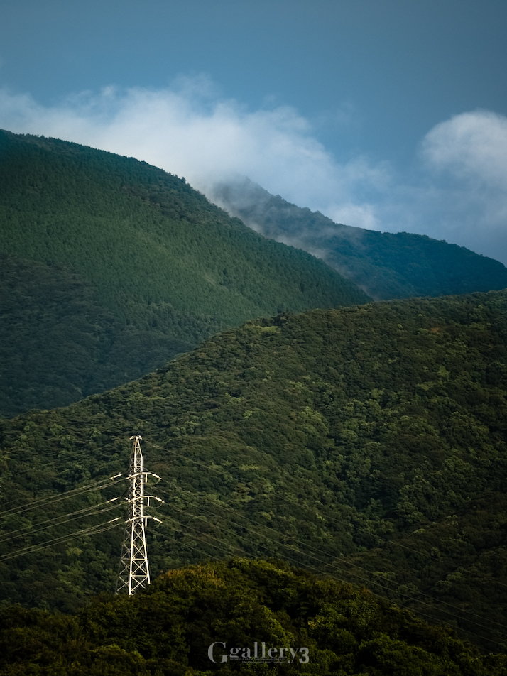 P9121641-5001454.jpg