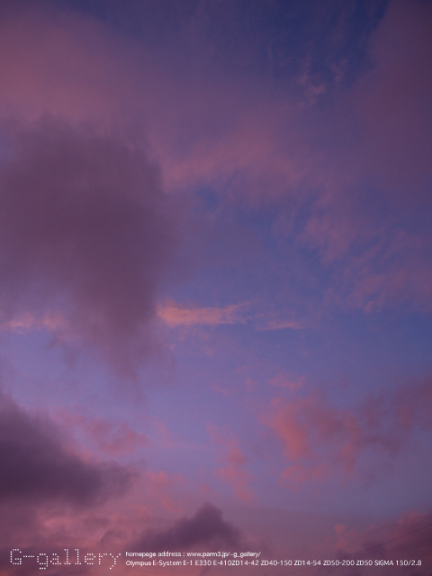 P9169223_E-1_14.jpg