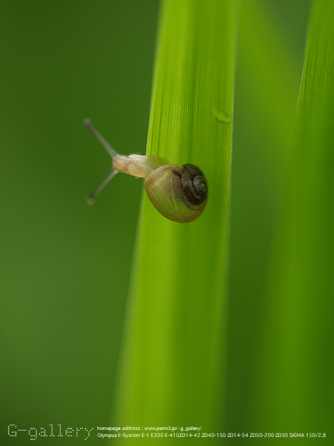 P9169643_410_150.jpg