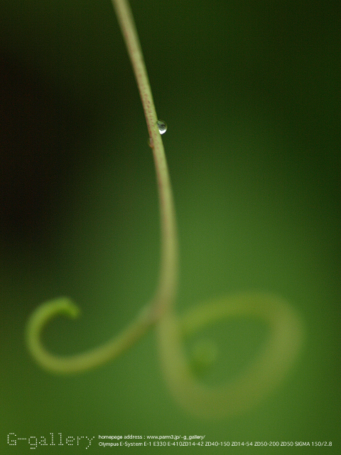P9169686_2_410_150.jpg