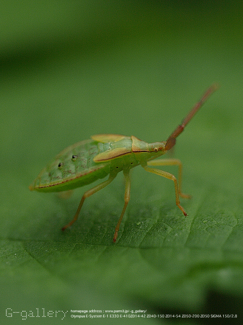 P9169717_410_150.jpg
