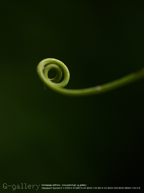 P9169821_410_150.jpg