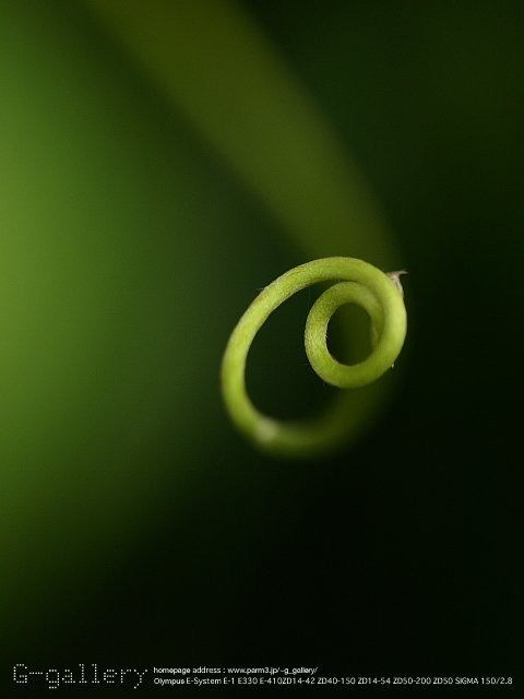 P9169826_410_150.jpg