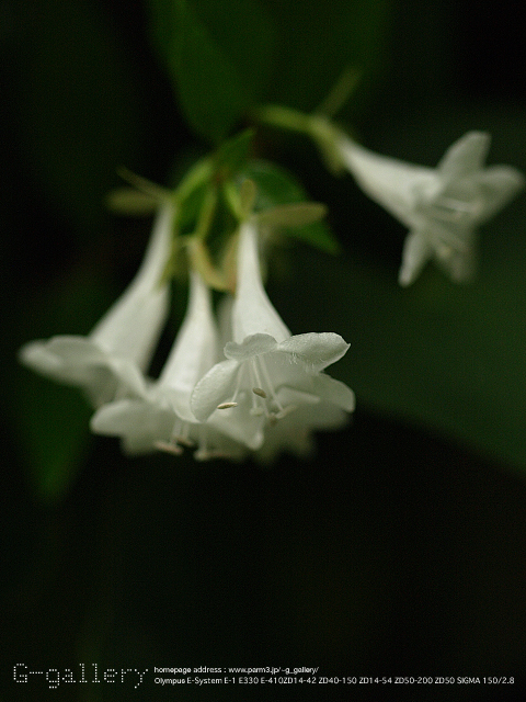 P9169883_410_150.jpg