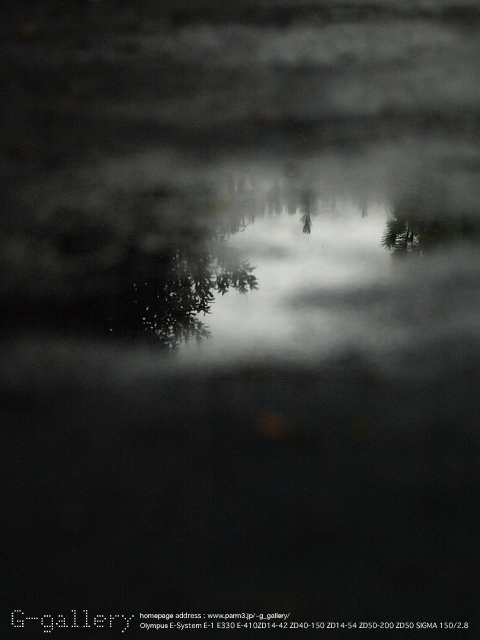 P9169895_410_150.jpg