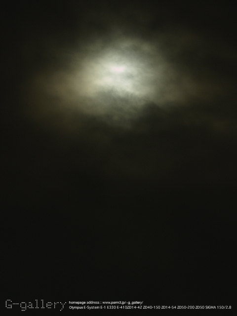 P9170017_410_150.jpg