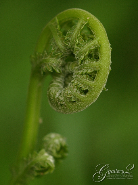 P9170052_410_150_2.jpg