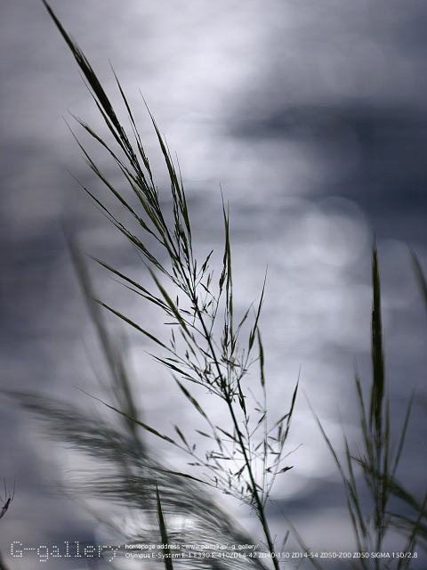 P9170094_410_150.jpg