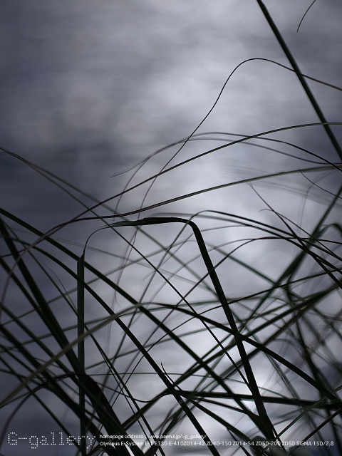 P9170097_410_150.jpg