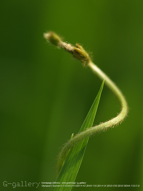P9220191_410_150.jpg