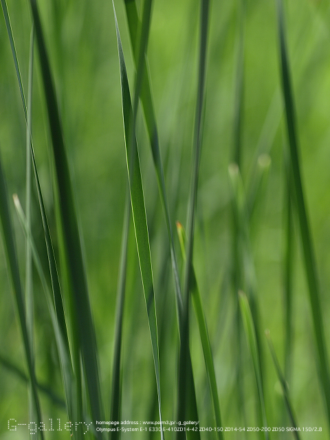 P9220209_410_150.jpg