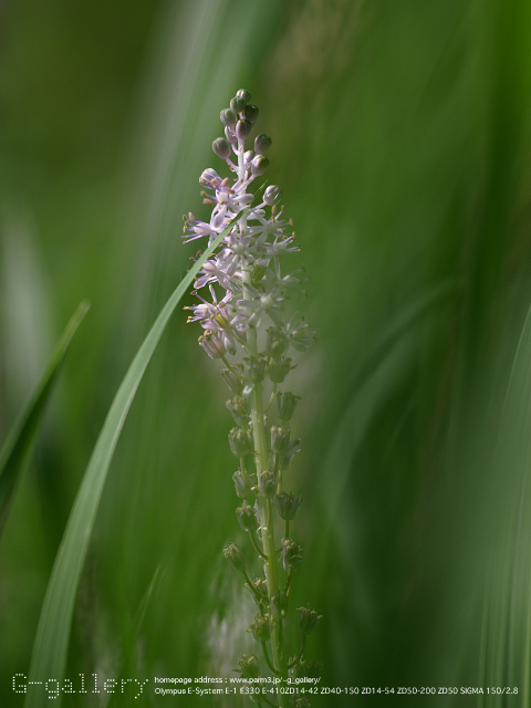 P9220426_410_150.jpg