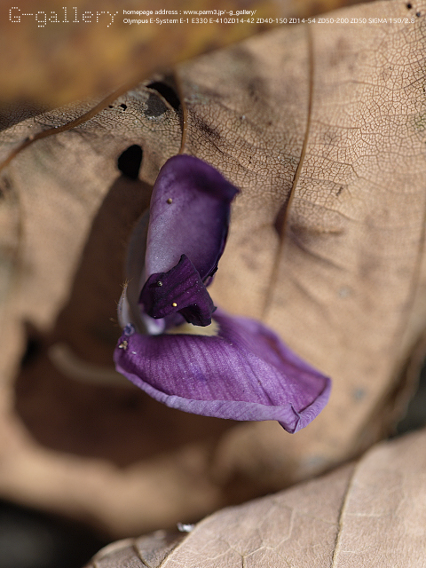 P9220436_410_150.jpg