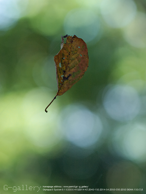 P9220463_D.jpg