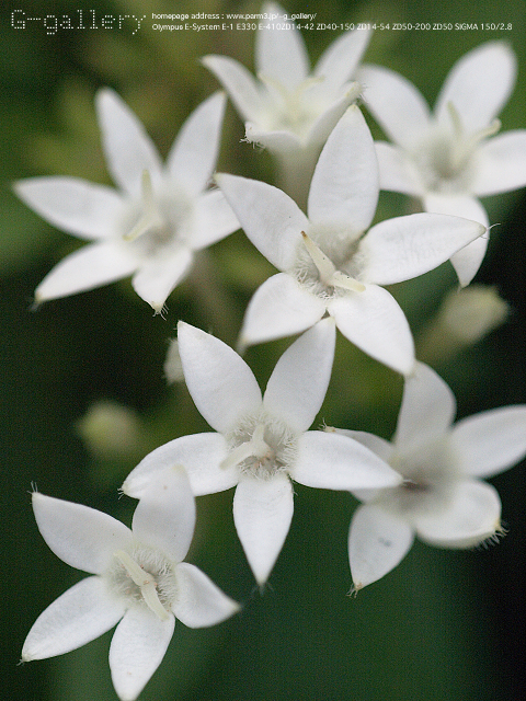 P9230560_410_150.jpg