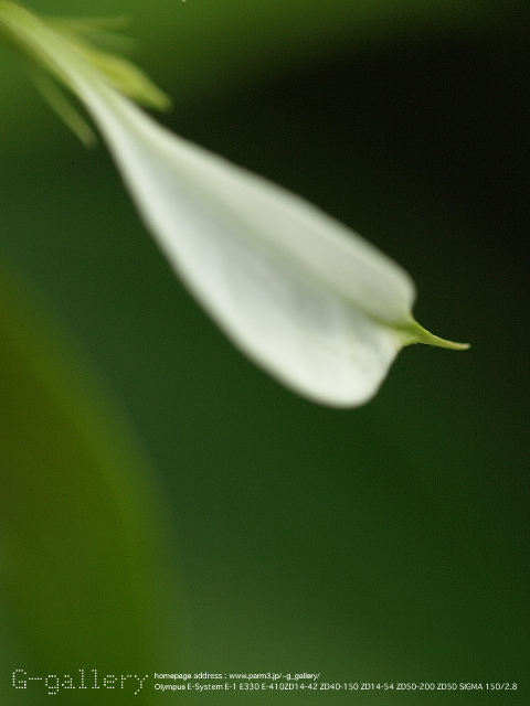 P9230562_410_150.jpg