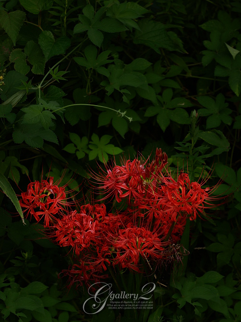 P9240740.jpg