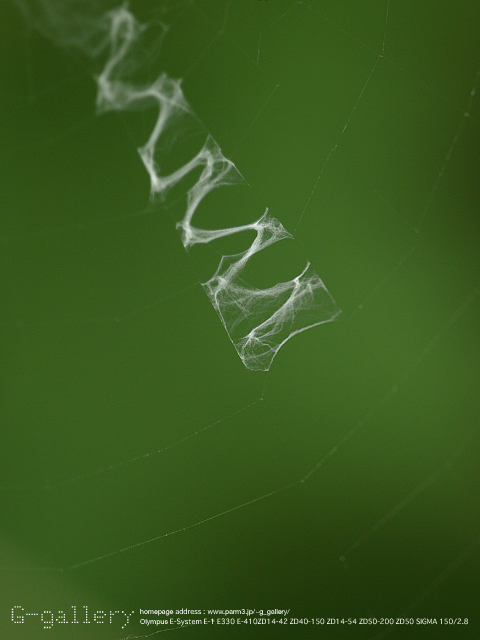 P9240815_410_150.jpg